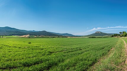 Mountain range with lush green grass and a distant view