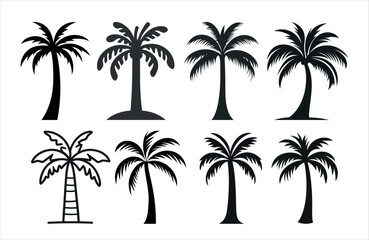 Detailed Highly Detailed Palm or coconut tree black art silhouette vector illustration set on white background
