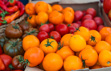 Fresh farm produce at the autumn fair. Vegetable background