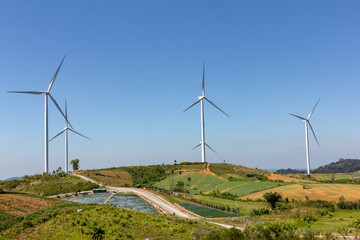 Wind Turbine for Electric