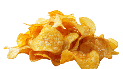 Puffin isolated on transparent background, png