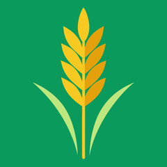 Fototapeta premium barley