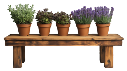 a row of potted plants on a wooden shelf