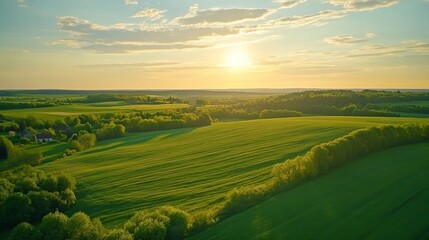 Fototapeta premium landscape green field sunlight beautiful