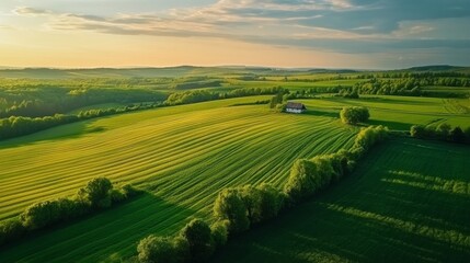 Naklejka premium landscape green field sunlight beautiful