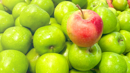 Red seasonal apple against a background of green apples. A bunch of green apples with one red apple on top.