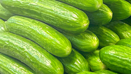 Medium smooth fresh cucumbers close up on a shelf in a grocery store. A bunch of green cucumbers are piled on top of each other.