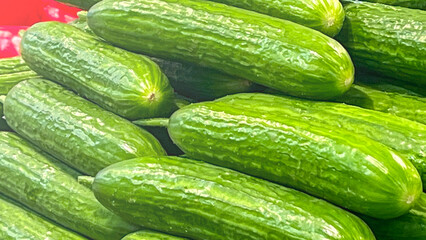 Green fresh cucumbers on a grocery counter. A pile of green cucumbers. The cucumbers are stacked on top of each other
