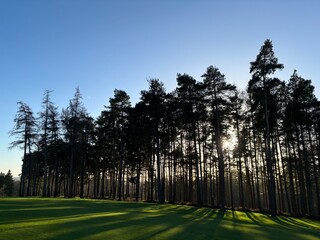 Obraz premium Sunset Golf Course 