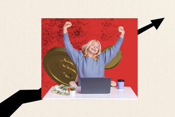 Composite photo collage of happy businesswoman sit office workplace arrow earnings cash usd...