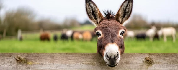 Cute donkey standing by a wooden fence, with its ears perked up, watching over a bustling barnyard scene filled with animals