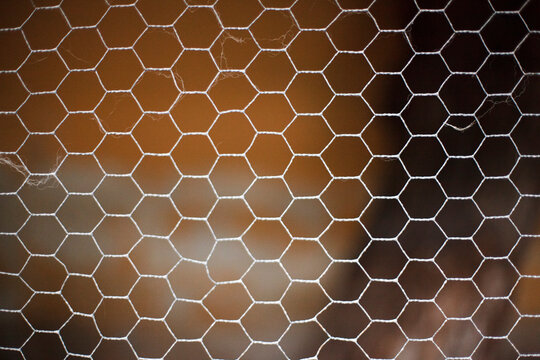 Close-up of white hexagonal wire mesh against a blurred brown background. Delicate honeycomb pattern with subtle variations in light and shadow, creating depth and texture across the frame.
