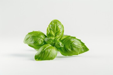 Fototapeta premium A collection of green leaves sit atop a white surface, great for backgrounds or textures