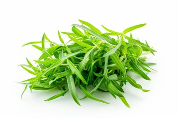 Fototapeta premium A fresh Tarragon isolated on white