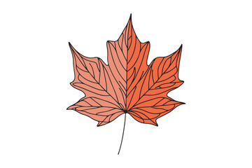 One line drawing of spring maple leaf. Graphic vector illustration with one line drawing