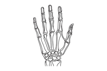 Fototapeta premium hand skeleton in single line style. vector illustration