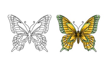 Butterfly image. Butterfly sketch. Can be used as a book illustration. Illustrated butterfly coloring book