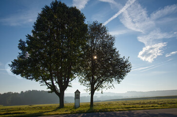 old crossroads between 2 trees
