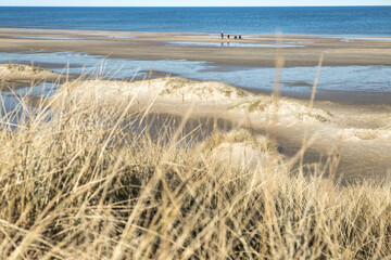 Sand dunes at low tide on the North Sea coast 
Small group of people on the beach