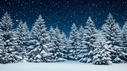 Snow-Covered Evergreen Trees Under a Starry Night Sky