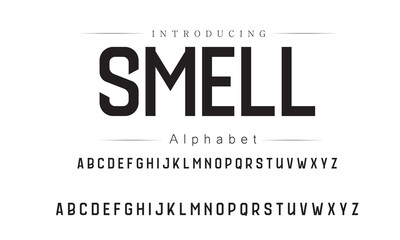 Creative Vintage Fonts for Modern Use