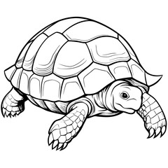 Smoothly Curved Tortoise  A Line Art Vector Emphasizing Steadiness