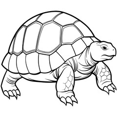 Smoothly Curved Tortoise  A Line Art Vector Emphasizing Steadiness