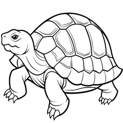Smoothly Curved Tortoise  A Line Art Vector Emphasizing Steadiness