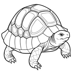 Smoothly Curved Tortoise  A Line Art Vector Emphasizing Steadiness