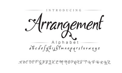 Elegant Script Font