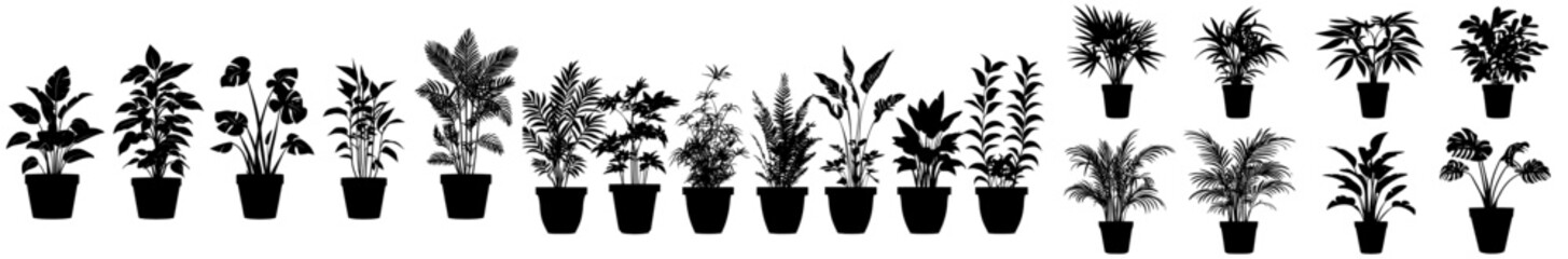 Various potted houseplant silhouettes. Modern flat illustrations of indoor flowers or plants in flowerpots or vases