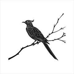 Bird mascot illustration logo concept design