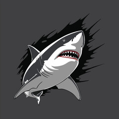 Shark mascot illustration logo concept design