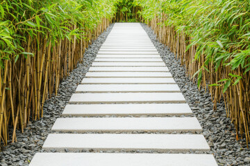 A serene pathway lined with bamboo plants and stepping stones, inviting tranquility and natural beauty.