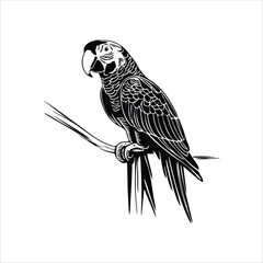 macaw bird mascot illustration logo concept design