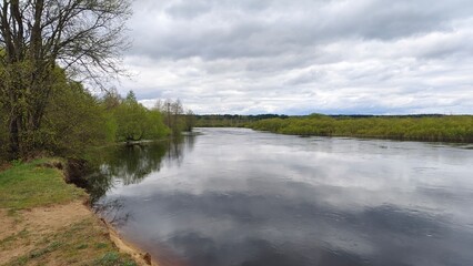 In early spring the river overflows, the water is high and muddy. A fast current floods the floodplain and bushes on the banks. The water reflects the sky with clouds, trees and bushes. Overcast