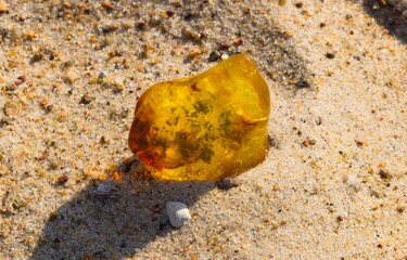 Large, clear pieces of Baltic amber shine against the sandy beach, showcasing a warm, golden colour.