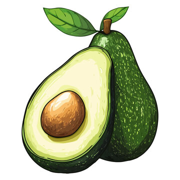 green avocado fruit cut open with seed clip art preview