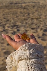 A woman sits on the beach in Kołobrzeg, holding a polished piece of Baltic amber in her hands, glowing softly in the sunlight.