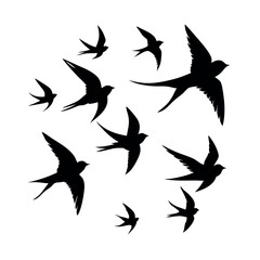 a group of nine birds flying in a random pattern. The birds are black and are silhouetted against a white background