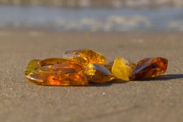Natural, polished Baltic amber on a sandy beach in Kołobrzeg, Poland.