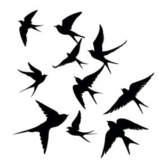 a group of nine birds flying in a random pattern. The birds are black and are silhouetted against a white background