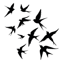 a group of nine birds flying in a random pattern. The birds are black and are silhouetted against a white background