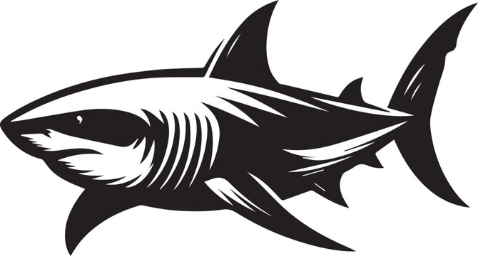 recommend clip art: Bull Shark silhouette vector black and white