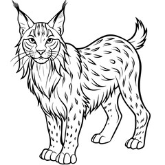 Elegant Lynx Minimalist Line Art of a Tufted-Eared Beauty