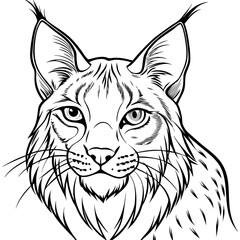 Elegant Lynx Minimalist Line Art of a Tufted-Eared Beauty