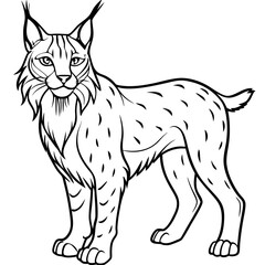Obraz premium Elegant Lynx Minimalist Line Art of a Tufted-Eared Beauty