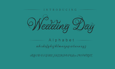 Elegant Script Fonts for Stunning Visuals