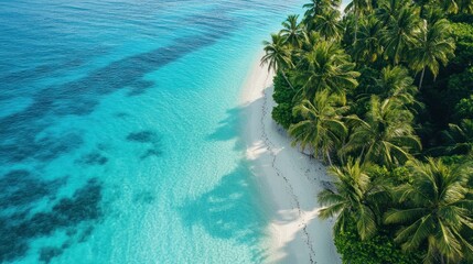 Aerial view of a tropical island with palm trees and turquoise water.