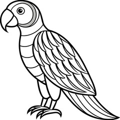 Colorful Parrot Elegant Black Line Art with Curved Feathers